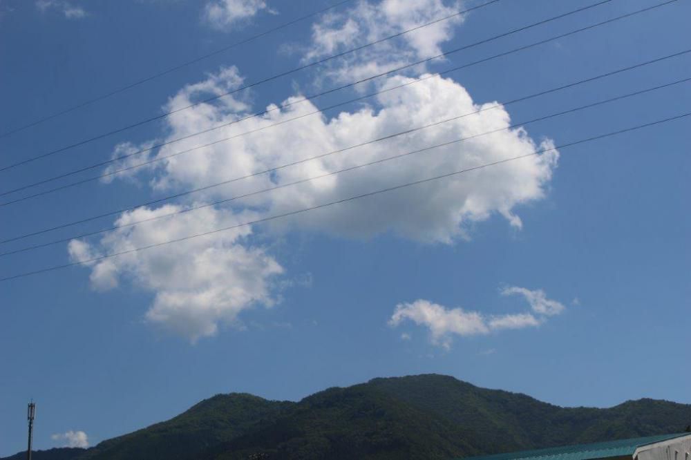 残暑・・・