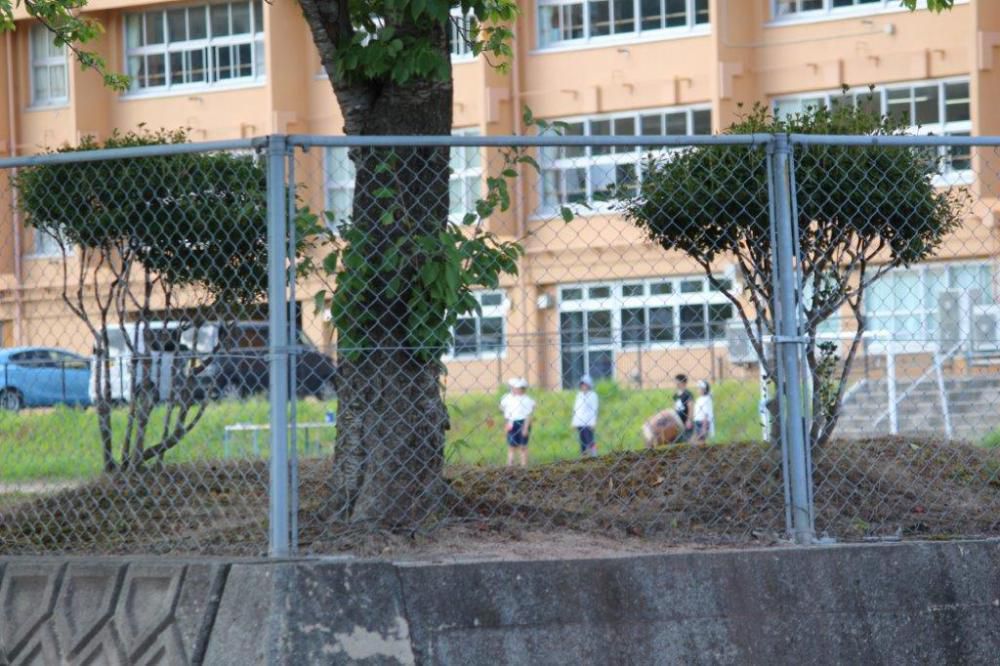 運動会シーズン