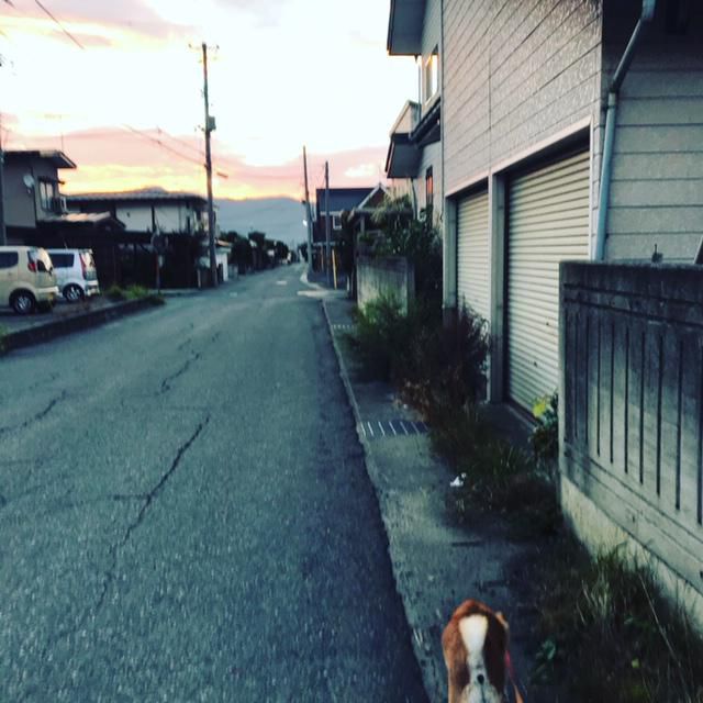 残暑