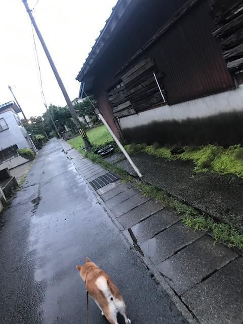 秋ですよ