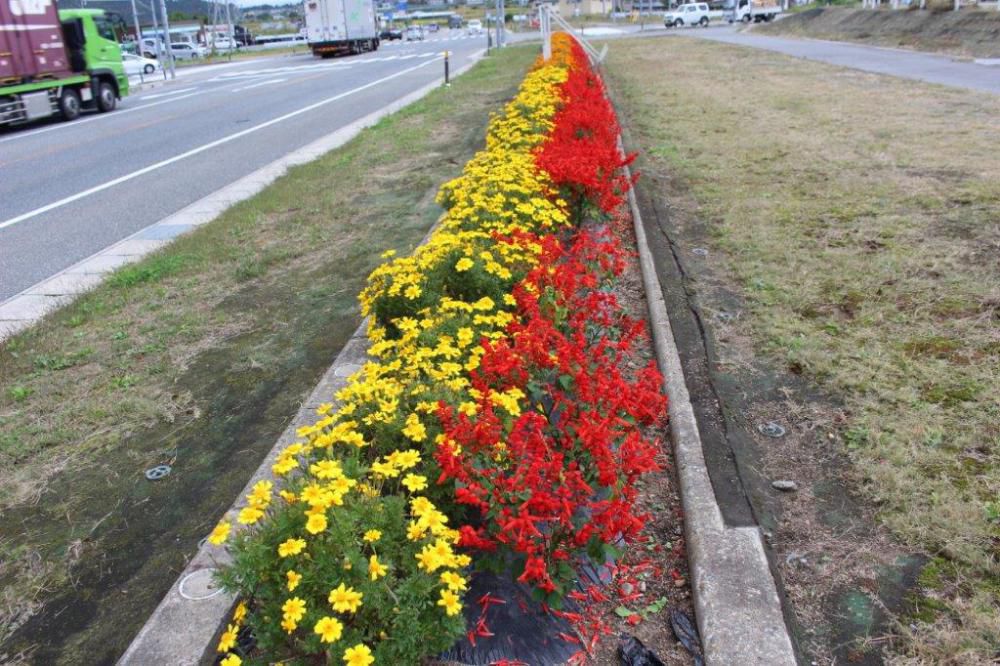 まだまだ元気