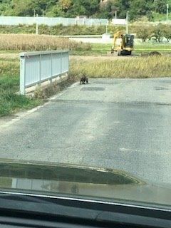 ん？