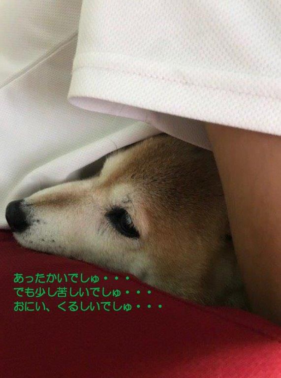 人肌