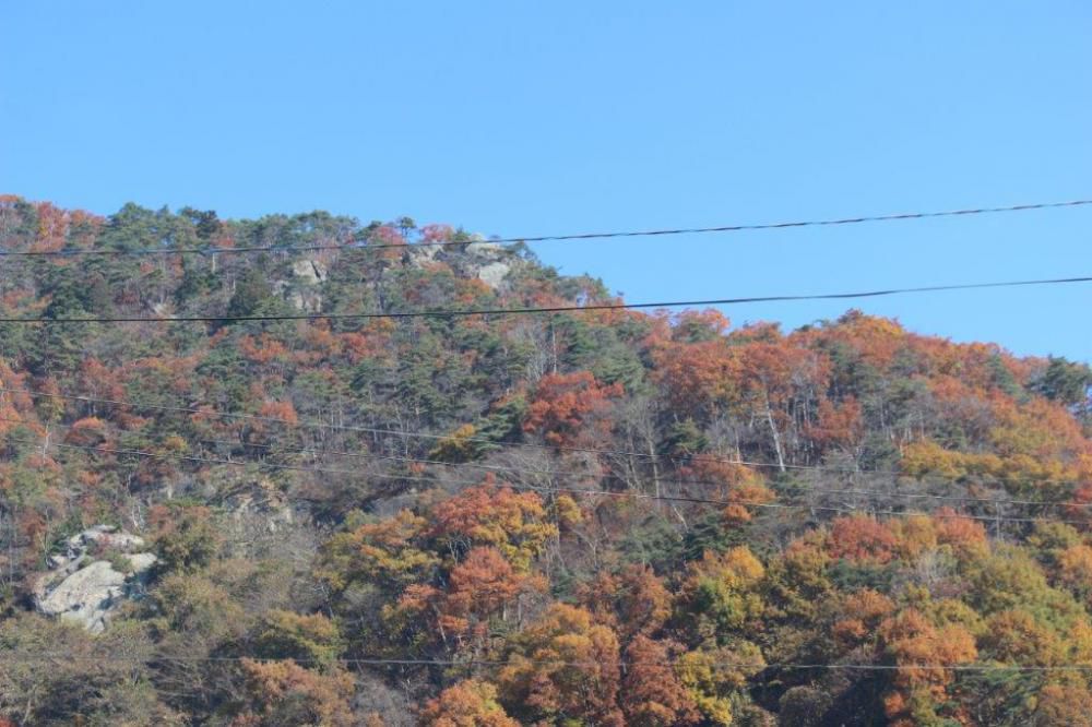 紅葉狩り