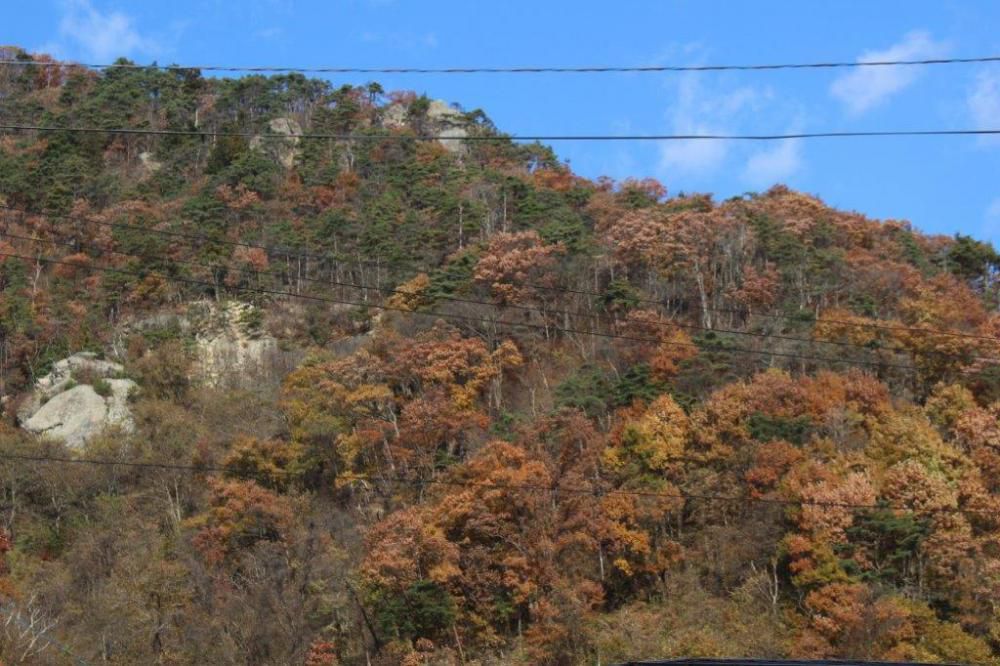 天気
