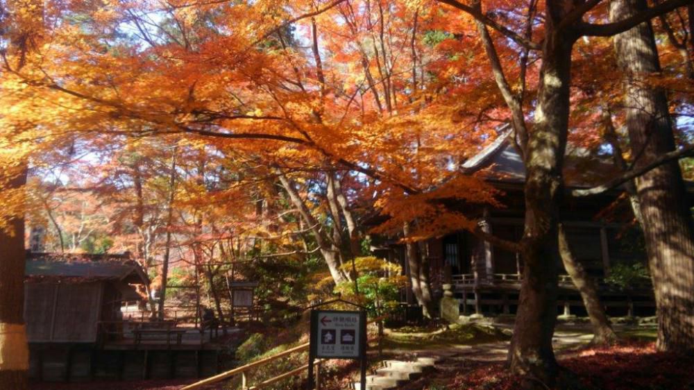 紅葉