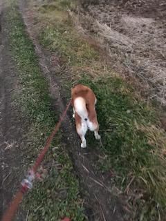 寒さに負けず