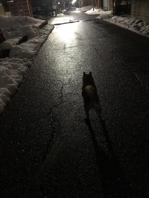 余談ですが・・・