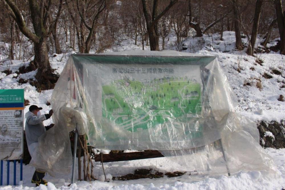 桜の防除作業