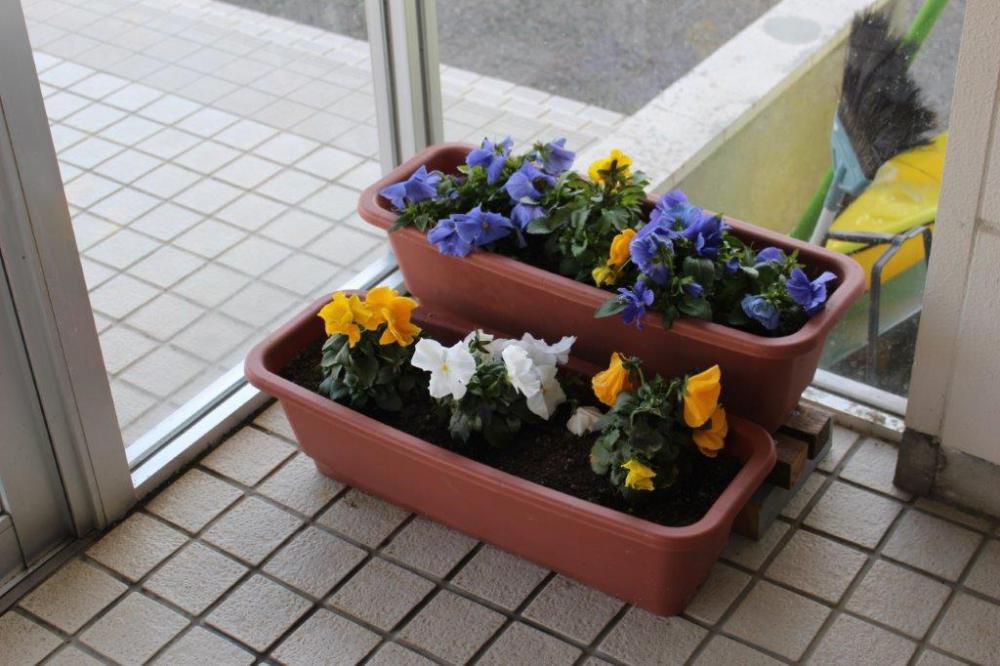 穏やかな・・・