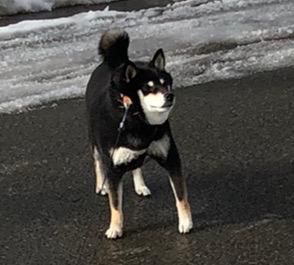 引き続き・・・