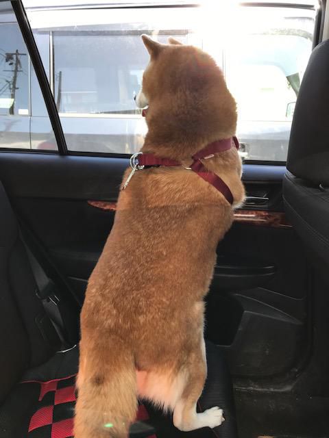 いや～な予感・・・的中