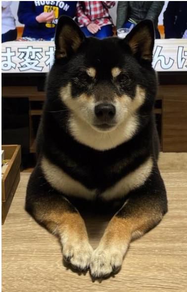 リモート
