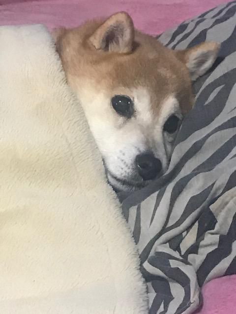 いよいよ・・・