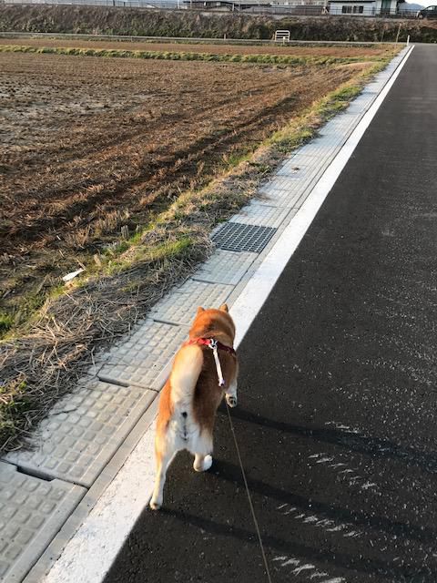 気持ちいい