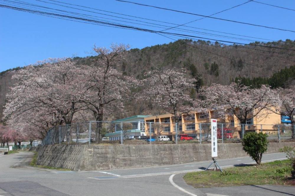 中川地区桜情報　Ｐａｒｔ５