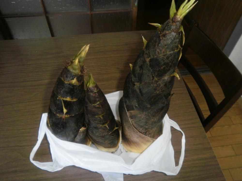 たけのこ