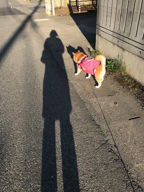 現実逃避