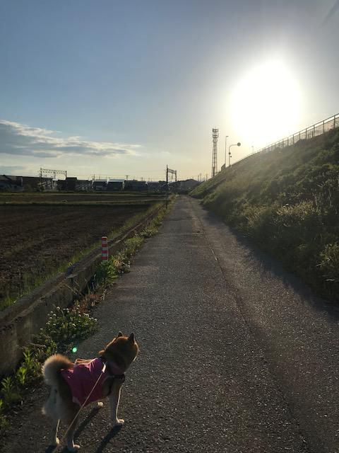 夕暮れ時