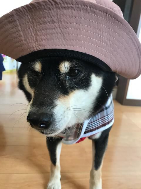 気を付けて