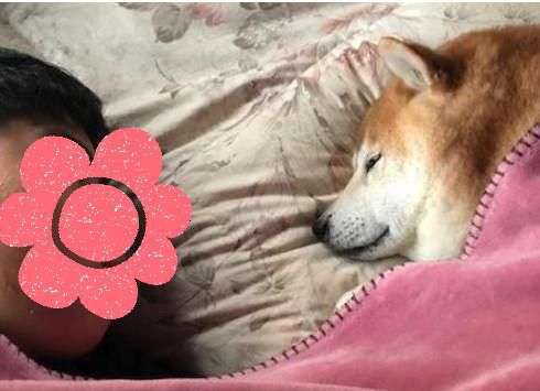癒し