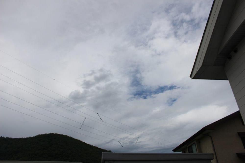 除去されました