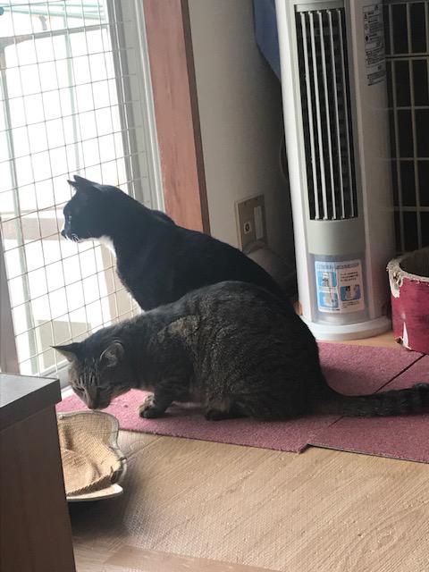 癒しを求めて・・・