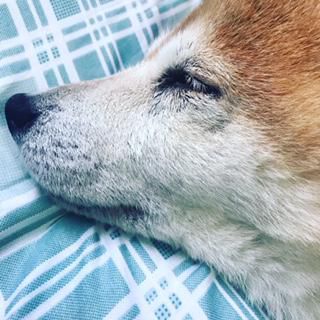 ルーティン