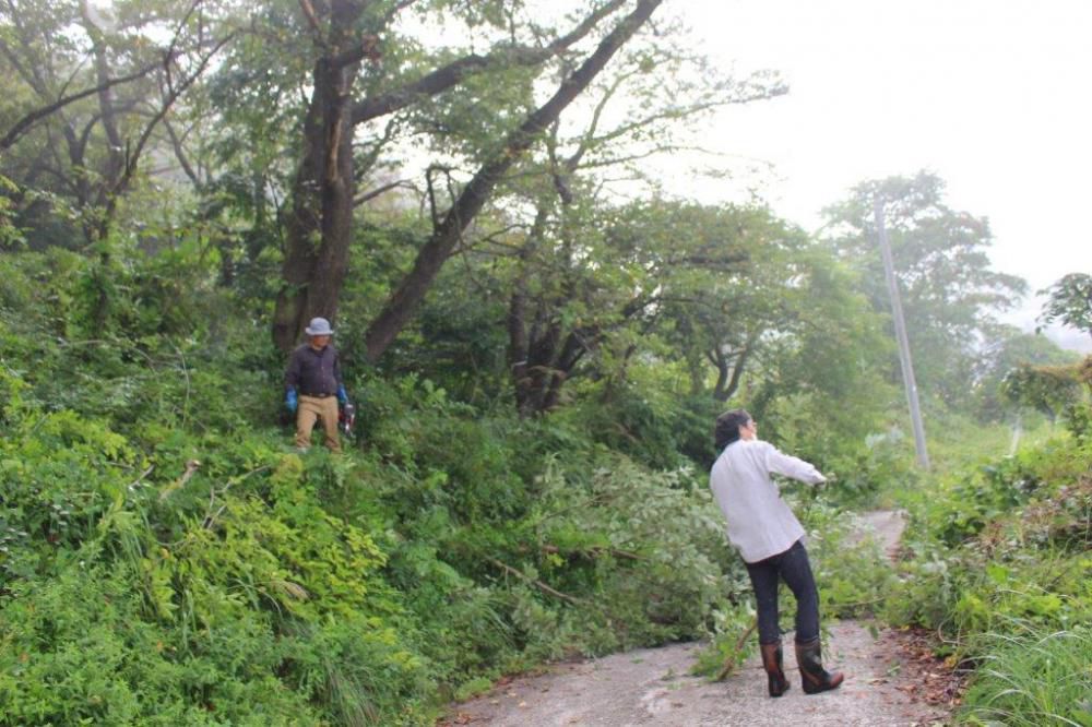 岩部山草刈り作業
