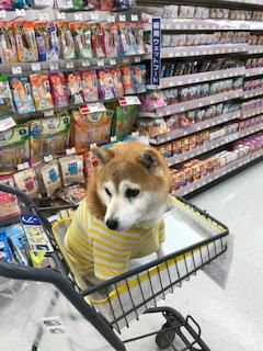 一緒に