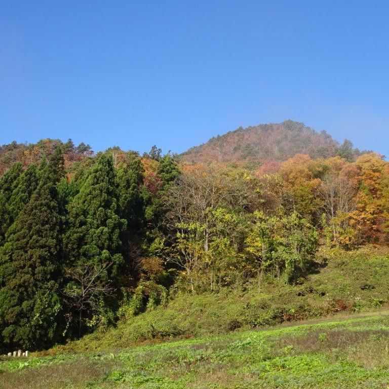秋葉山