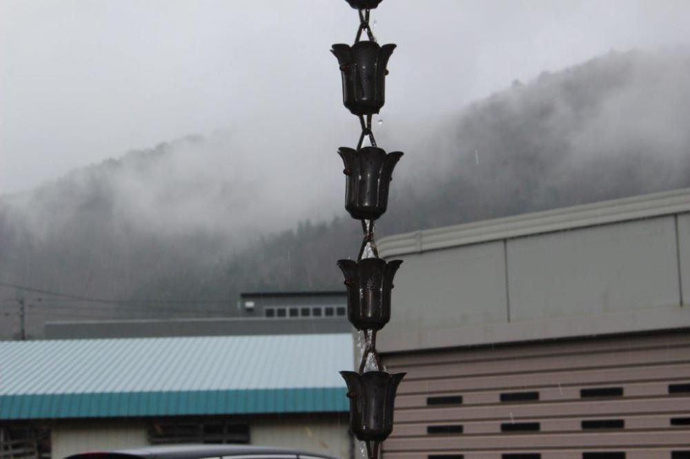 雨日和