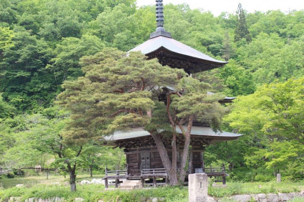 はつらつ下見