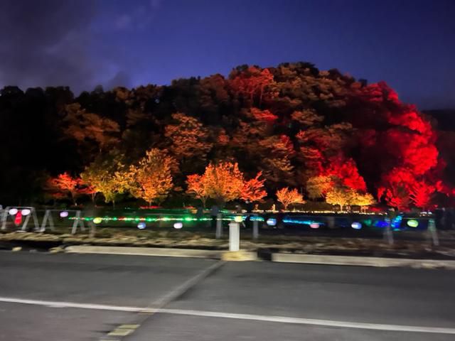 TAKAHHATA　ILLUMINATION　2022