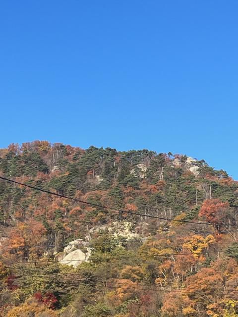 最盛期