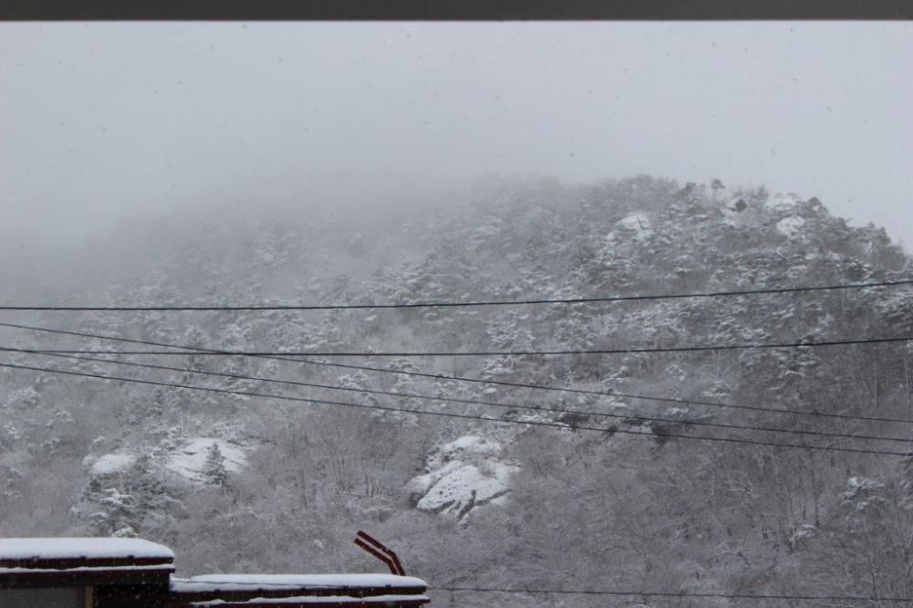 雪化粧