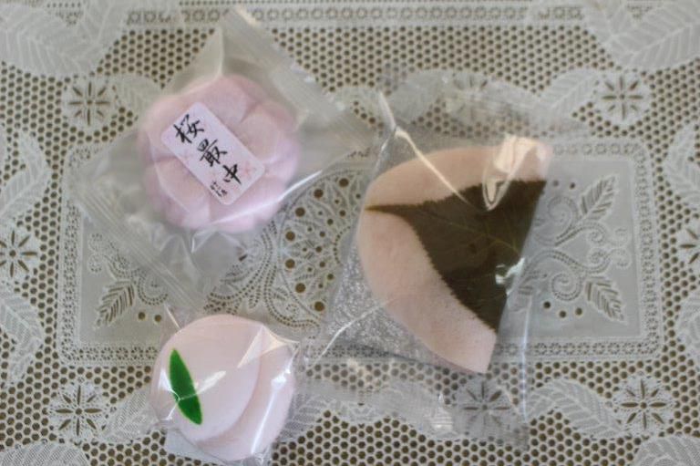 春がきた！