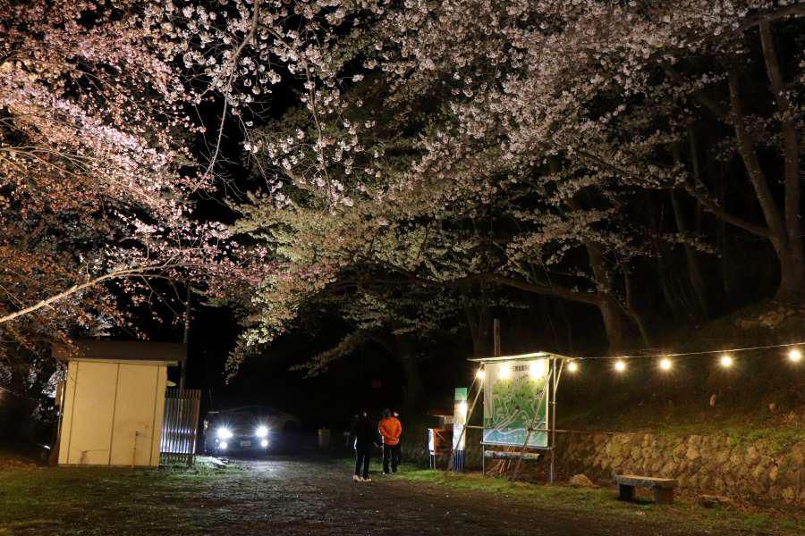 岩部山のライトアップ