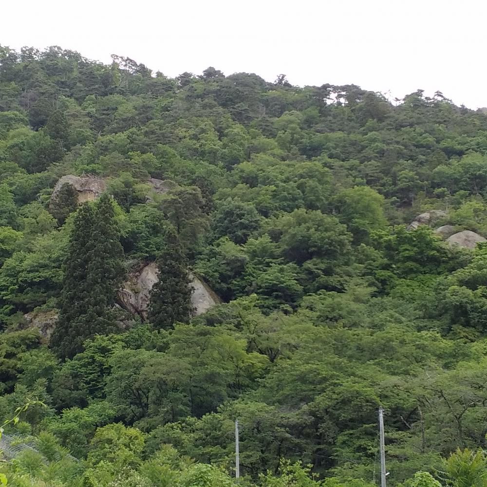 岩部山遊歩道整備