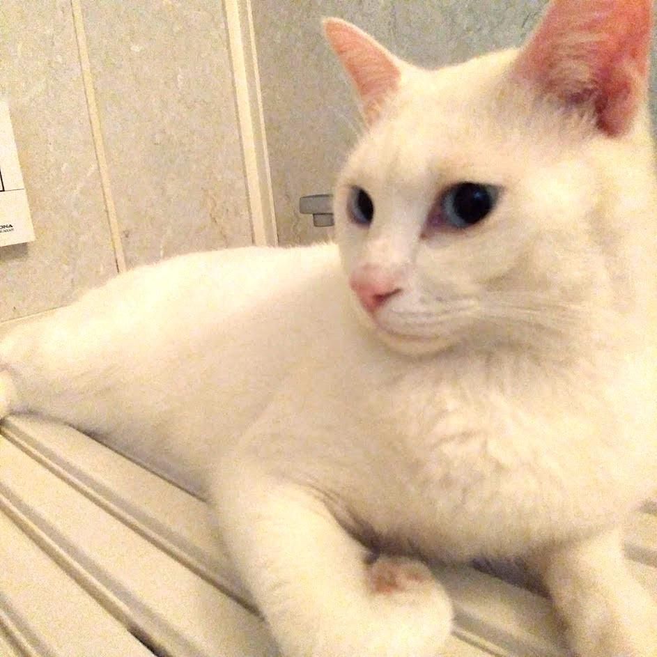 ぬくぬく