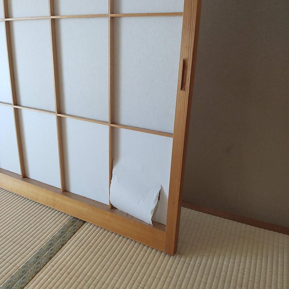 障子張り替え 1