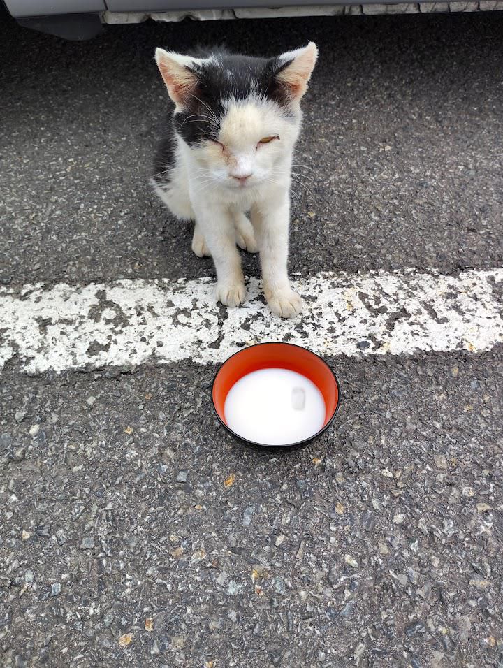 かわいいお客様が…