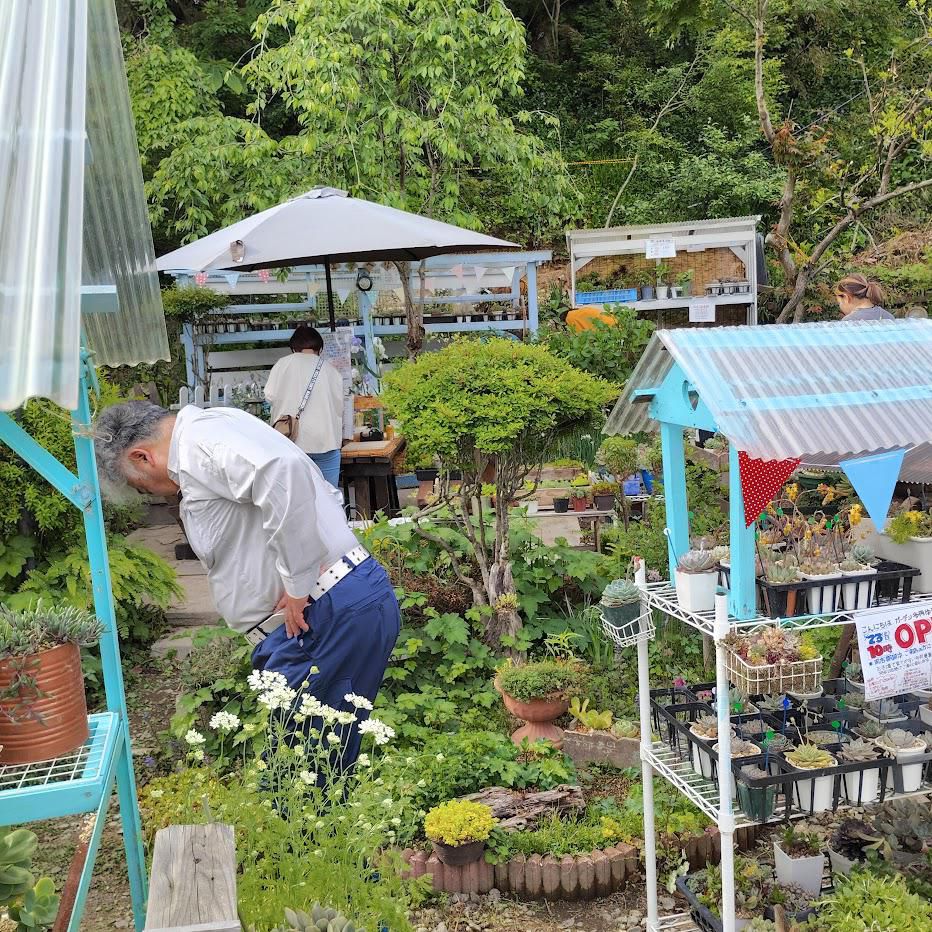 開店から間もなく一週間…