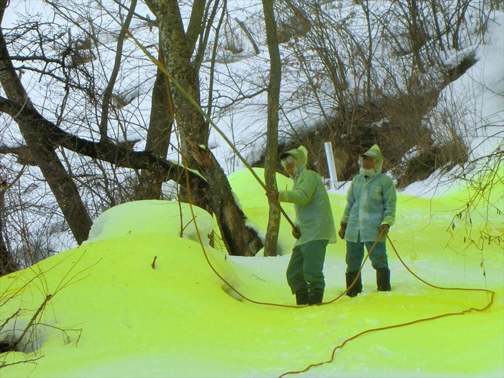 桜の防除作業を行いました。