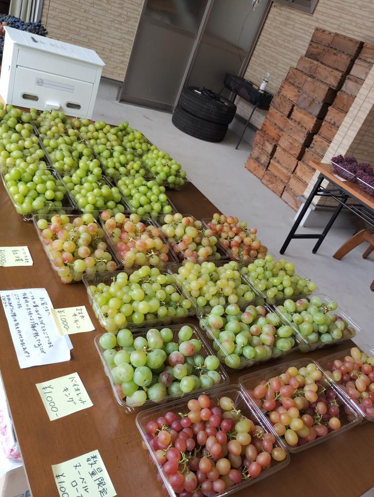 今週の中川 1(ぶどう屋BELL)