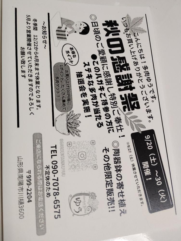 今週の中川 2(ガーデン多肉ゆう)