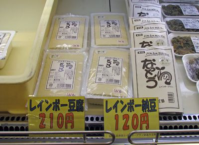 本日から登場です！