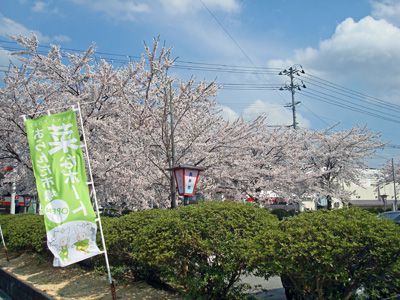 花より団子♪