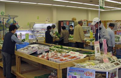 本日の菜なポート