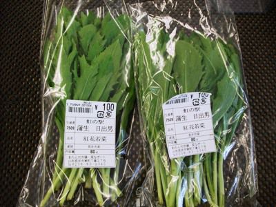 健康野菜！